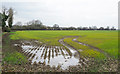 Field on north side of Thief Lane