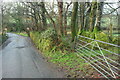 Lane approaching Tregoodwell