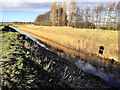 Downholland Brook