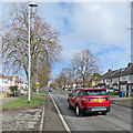 Mowbray Road: winter sunlight