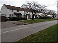 Tree-lined part of North Road, Croesyceiliog, Cwmbran