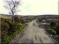H4777 : Road at Erganagh Glebe by Kenneth  Allen