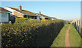 Coast path following Dawlish bridleway 4