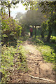 Coast path following Dawlish bridleway 4