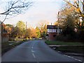 Rhinefield Road in Brockenhurst