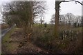 SO2146 : Hedge coppicing by Richard Webb
