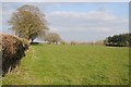 Field near Sherrington Barn