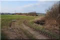 SO3850 : Farmland at Fenhampton by Philip Halling