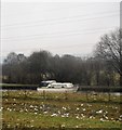 Boat on the Trent & Mersey Canal