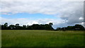 Grassy field north of Bushy Farm, 2