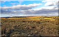 View north from Rattenraw settlement