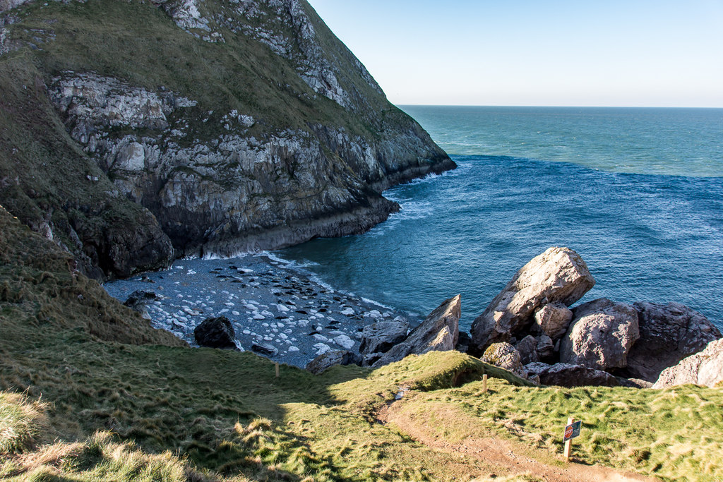 Angel Bay Seals