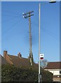 Traditional telegraph pole on Ongar Road, Writtle