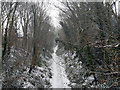 Old railway cutting east of Church Road, Worth