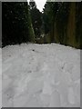 SZ0895 : Northbourne: cracked ice over snow on footpath O09 by Chris Downer