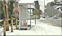 J3873 : Bus shelter and snow, Belfast (March 2018) by Albert Bridge