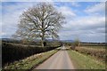 Country road at Queenhill