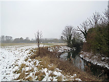 TL4152 : The Cam (or Rhee) near Haslingfield by John Sutton