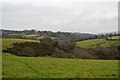 SX5078 : Wooded Tavy Valley by N Chadwick