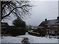 The "Beast from the East" Haslemere 2018 (K)