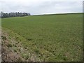 Farmland between Hawkswell Lane and Craggs Lane