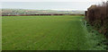 Footpath to Chapel Amble