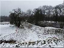 SP9908 : Double moat of Berkhamsted Castle by Rob Farrow
