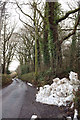 Snow by the lane through Common Plantation