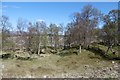 NN5453 : Birch wood, kame and kettle terrain by Richard Webb