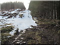 NT8418 : Steep timber extraction track near Cocklawfoot, Kelso by ian shiell