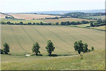 SU6691 : Rolling arable farmland on the lower slopes of the Chiltern scarp by Simon Mortimer