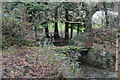 Footbridge over Cholwell Brook