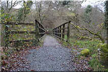 SX5178 : Footbridge over the River Tavy by N Chadwick