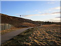 Landslip by the Ridgeway