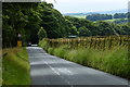 Sheep House Lane at Rivington