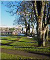 Path and trees at edge of play area in Stanhope