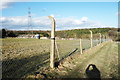 Footpath & Fenceposts