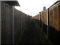 Footpath to Springfield Cottage, Kirkby