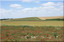 SU6691 : Uncropped field margin near Ewelme by Simon Mortimer