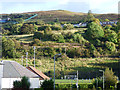 Hole Farm from Nimmo Street