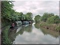 Ashby Canal towards Bridge Number 17