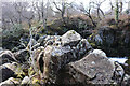 Rocky Outcrop, Water of Minnoch