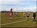 A lineout at North Petherton RFC