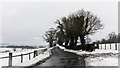 NU0711 : Minor road, trees and snow near Whittingham Lane by Peter Moore