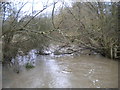 River Cole, Yardley Wood