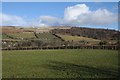 View to Cefn Moel