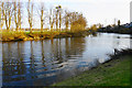 The River Severn at Worcester