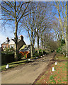 Great Shelford: Coppice Avenue