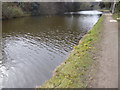 The Grand Union Canal at Stockley Park