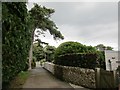 Pine Walk, Lyme Regis